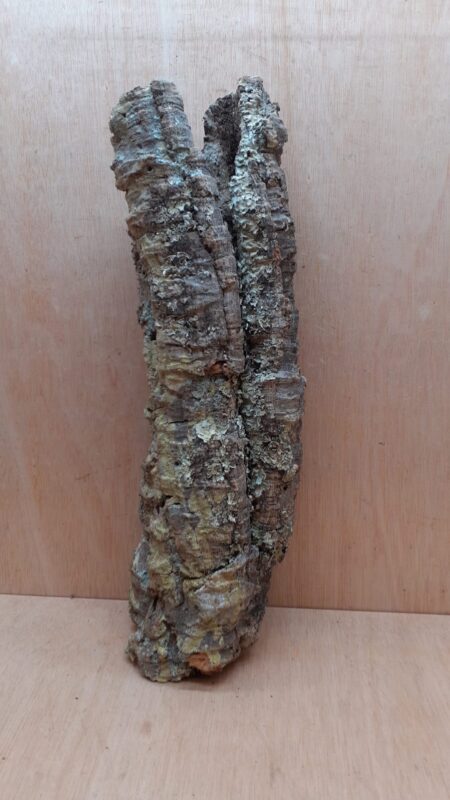 Small Cork Tube - 40-60cm - 11