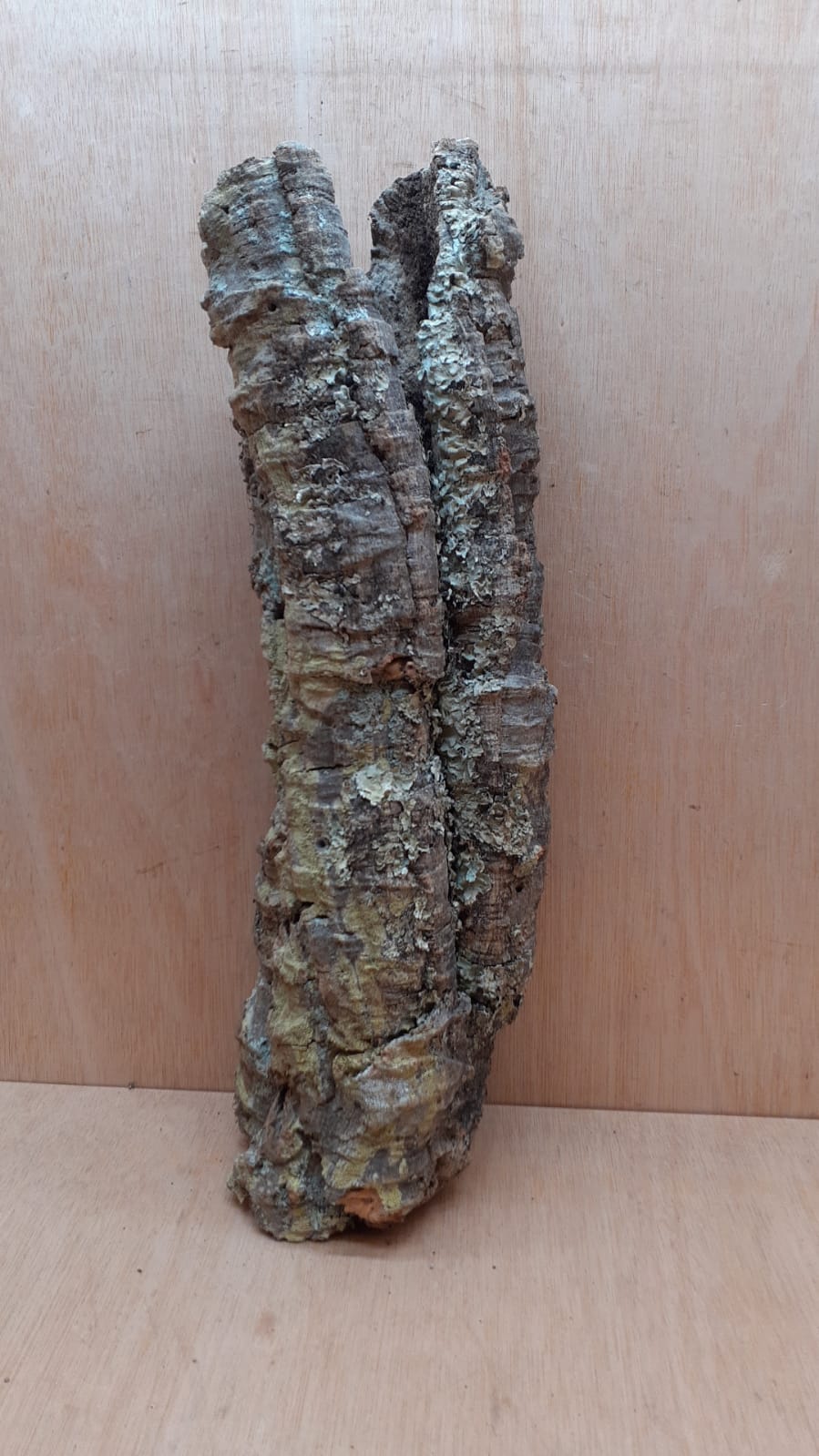 Small Cork Tube - 40-60cm - 11