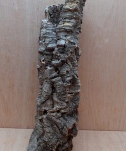 Small Cork Tube - 40-60cm - 17