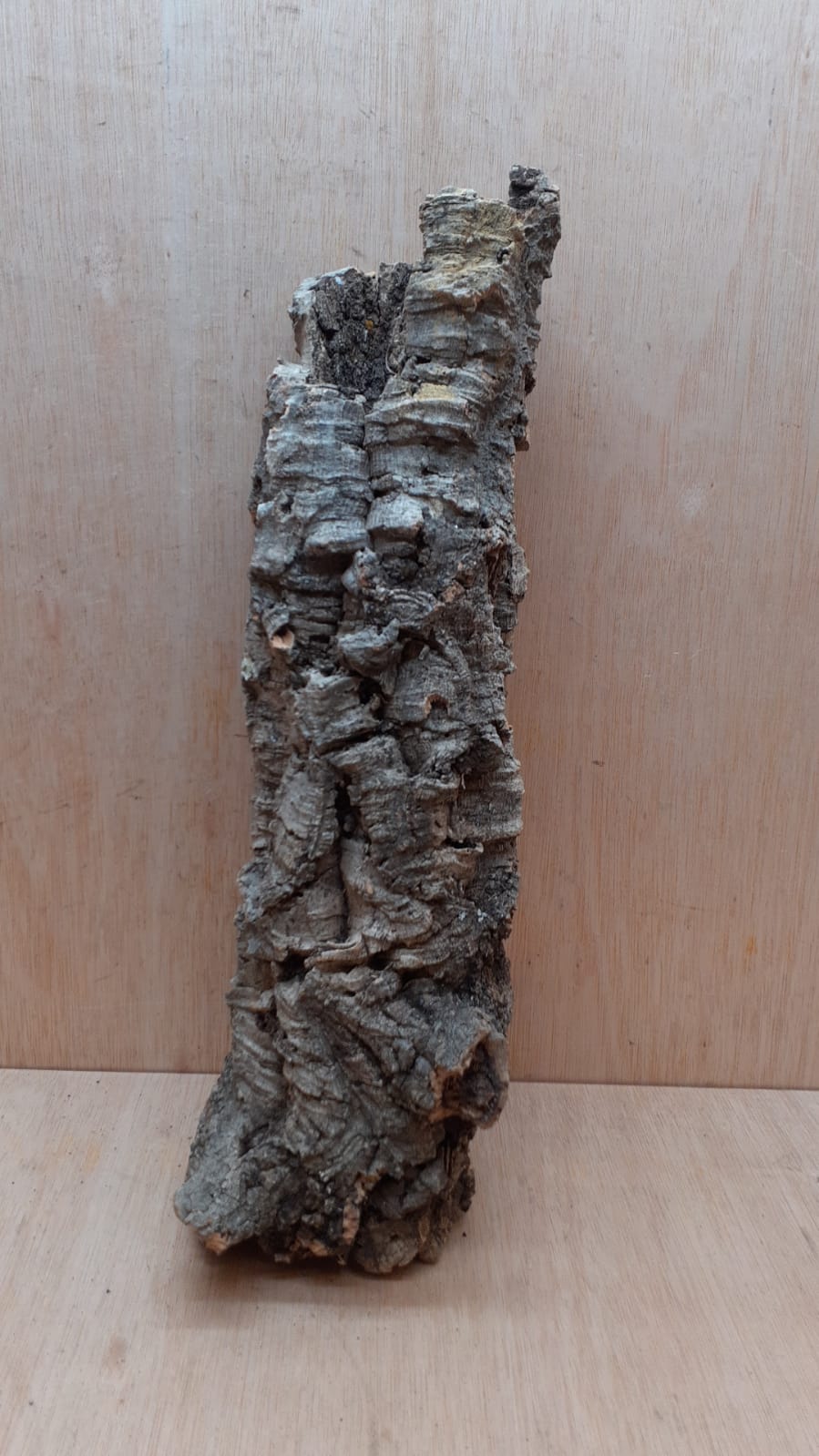 Small Cork Tube - 40-60cm - 17