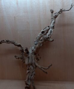 Sandblasted Grapevine - XL 10