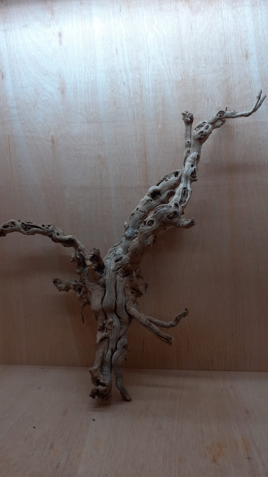 Sandblasted Grapevine - XL 10