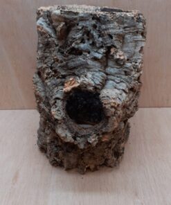 Large Cork Tube - Upto 40cm - 5