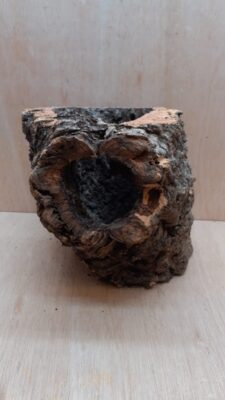 Large Cork Tube - Upto 40cm - 7