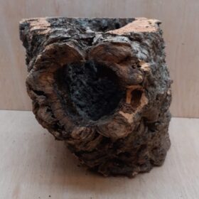 Large Cork Tube - Upto 40cm - 7