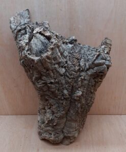 Large Cork Tube - 40-60cm - 1