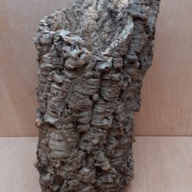 Large Cork Tube - 40-60cm - 3