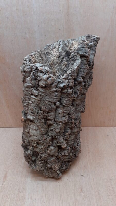 Large Cork Tube - 40-60cm - 3
