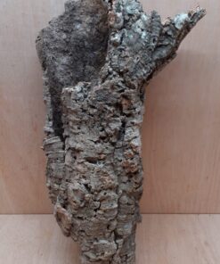 Large Cork Tube - 40-60cm - 8