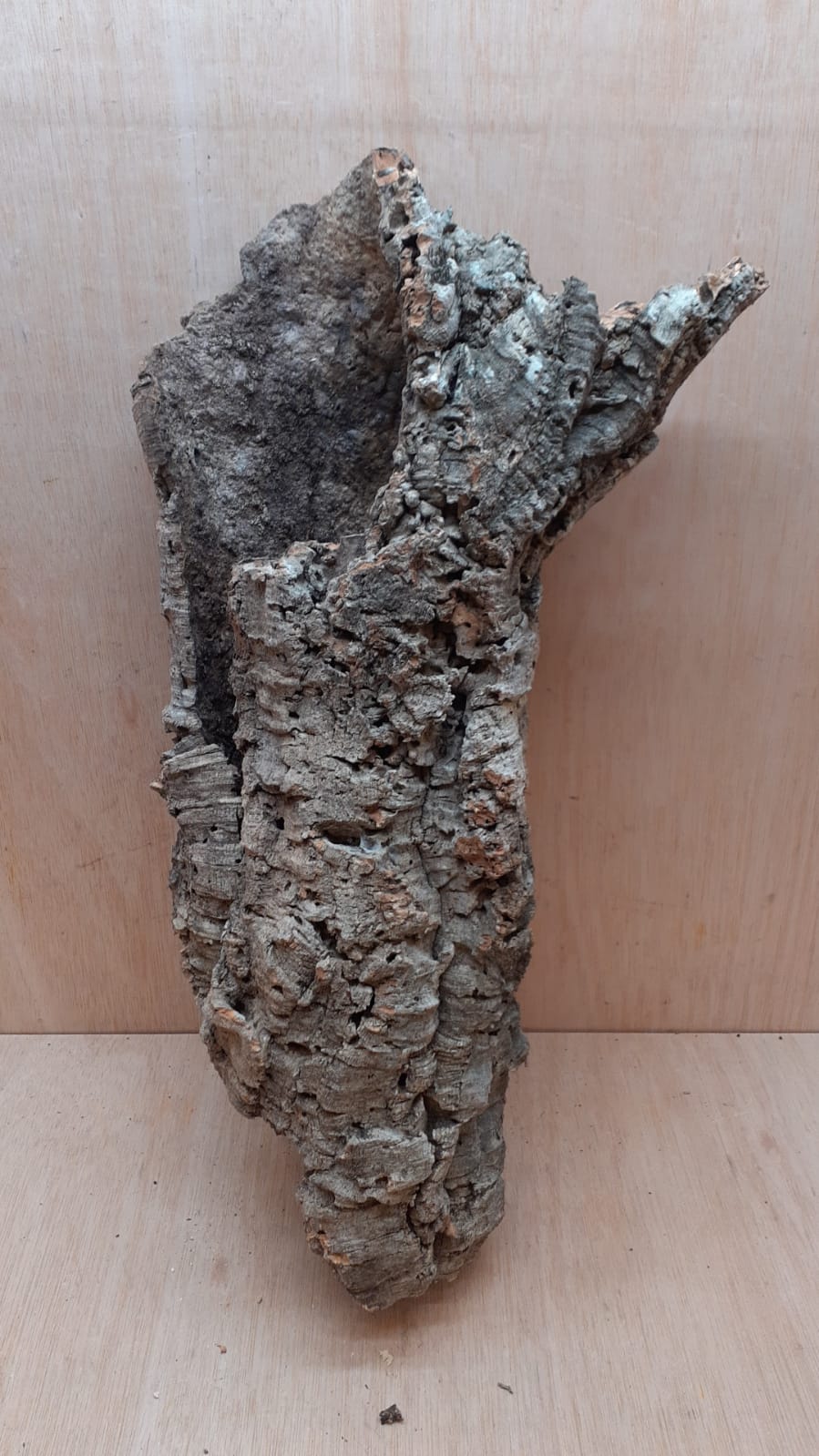 Large Cork Tube - 40-60cm - 8