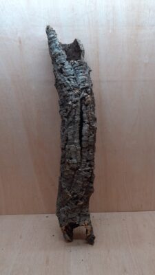Small Cork Tube - 60-80cm - 5