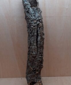 Small Cork Tube - 60-80cm - 5
