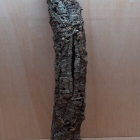 Small Cork Tube - 60-80cm - 5