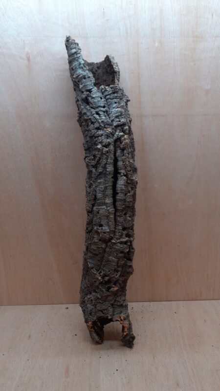 Small Cork Tube - 60-80cm - 5