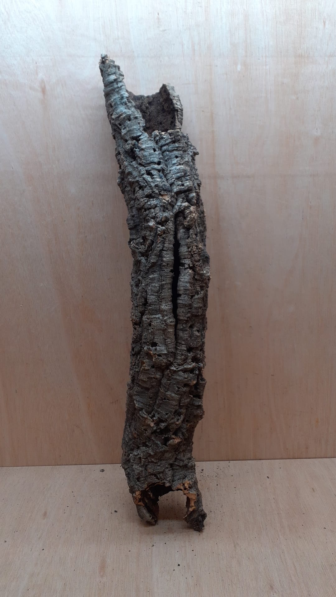 Small Cork Tube - 60-80cm - 5