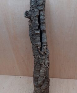 Small Cork Tube - 60-80cm - 12