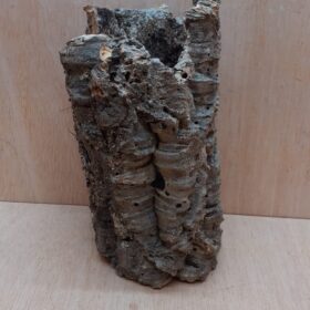 Medium Cork Tube - Upto 40cm - 3