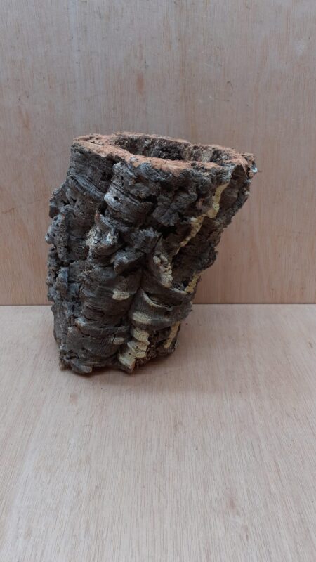 Medium Cork Tube - Upto 40cm - 10