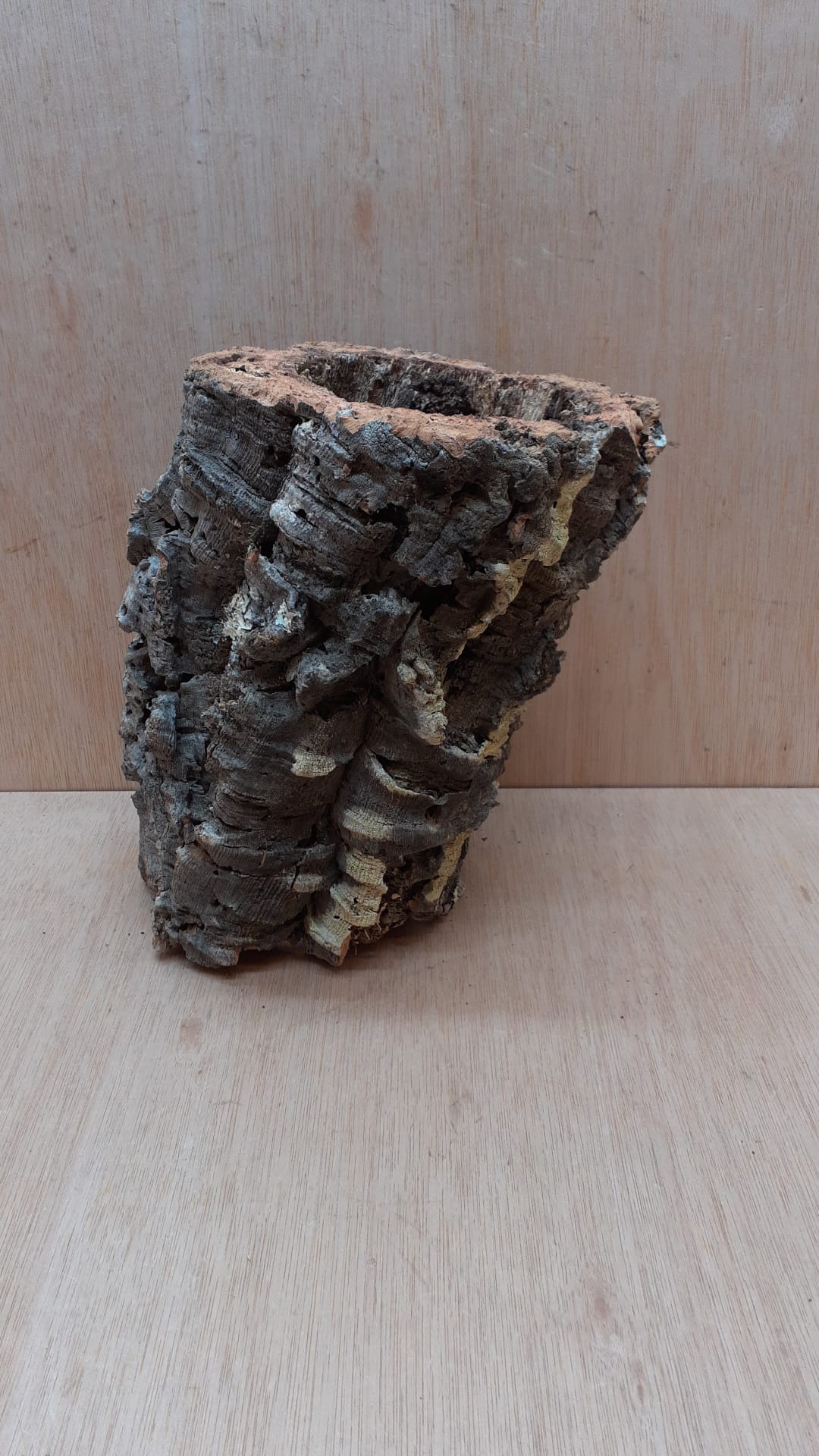 Medium Cork Tube - Upto 40cm - 10