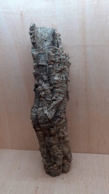 Medium Cork Tube - 60-80cm - 4