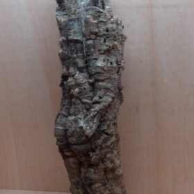 Medium Cork Tube - 60-80cm - 4