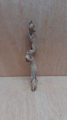 Sandblasted Grapevine - Small 3