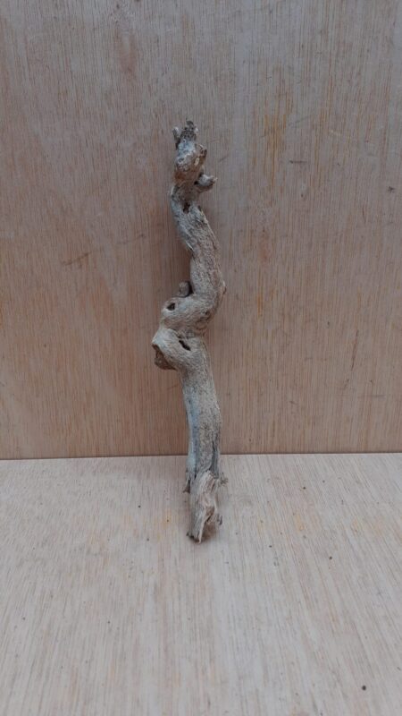 Sandblasted Grapevine - Small 3