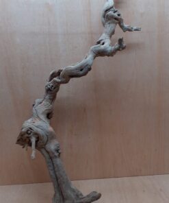 Sandblasted Grapevine - Large 1