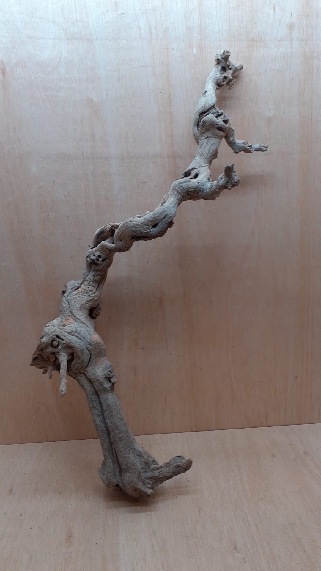 Sandblasted Grapevine - Large 1