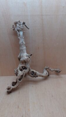 Sandblasted Grapevine - Large 10