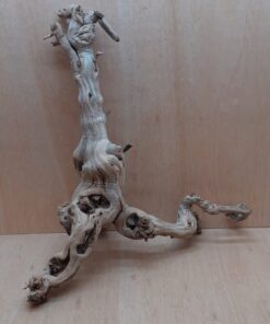 Sandblasted Grapevine - Large 10