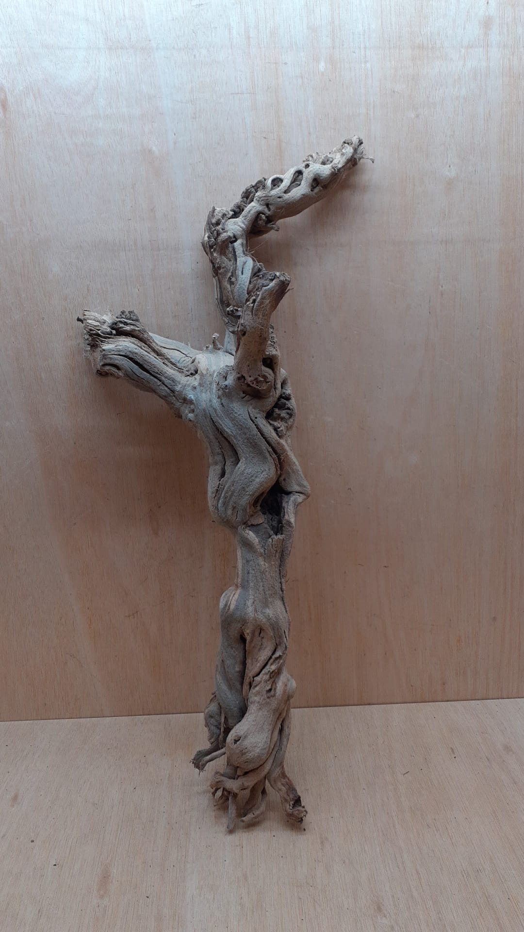 Sandblasted Grapevine - Large 14