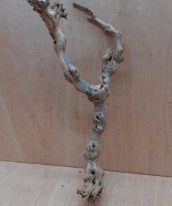 Sandblasted Grapevine - Medium 3