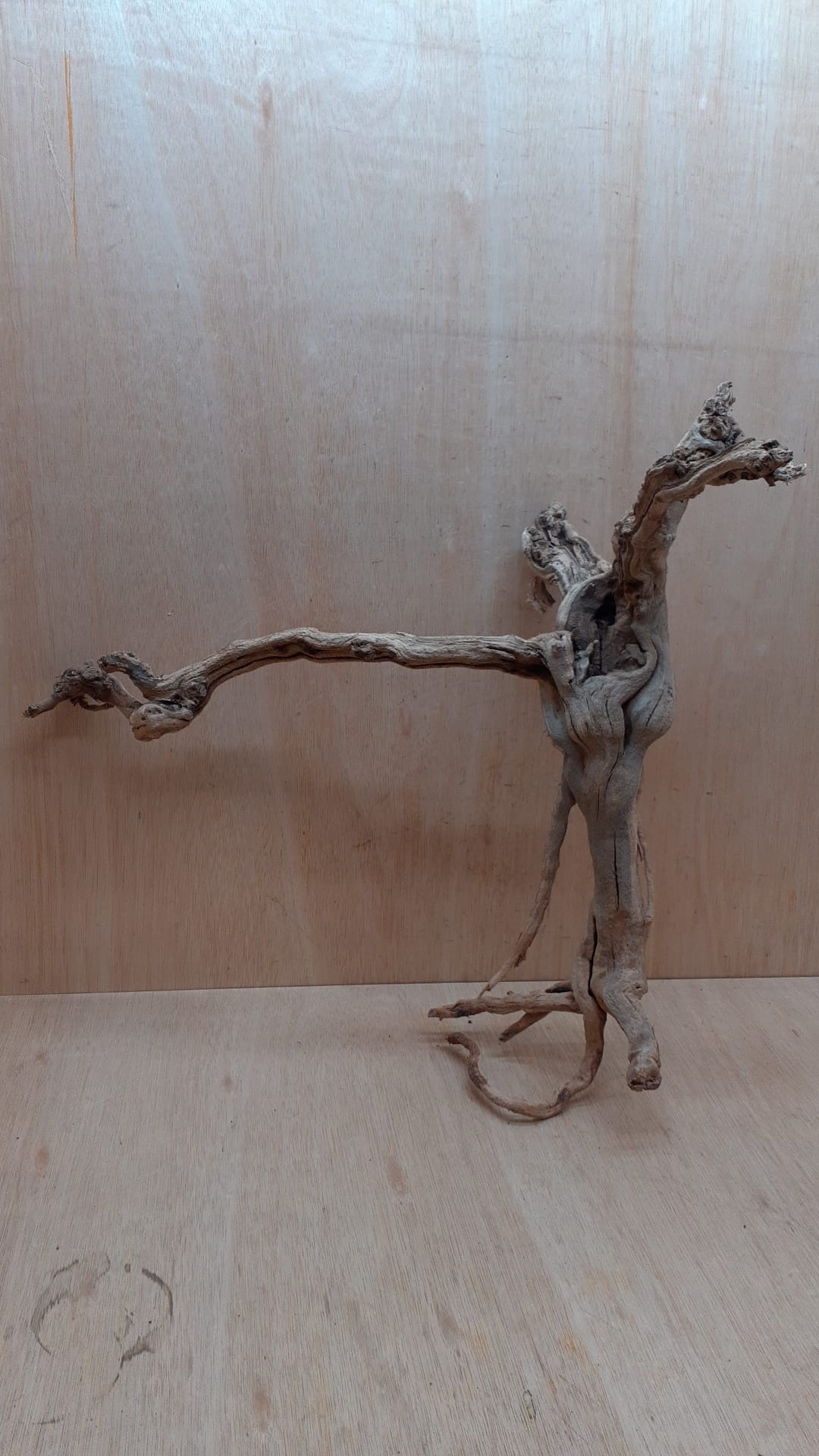 Sandblasted Grapevine - Large 8