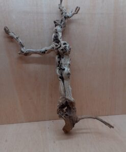 Sandblasted Grapevine - Large 15