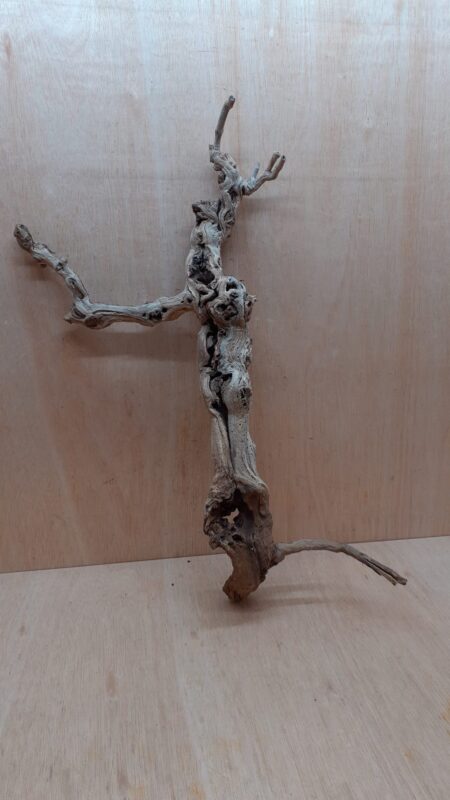 Sandblasted Grapevine - Large 15