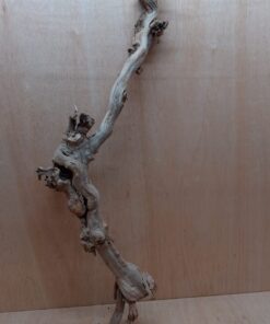 Sandblasted Grapevine - Large 16