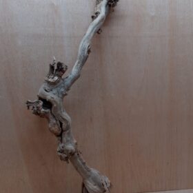 Sandblasted Grapevine - Large 16