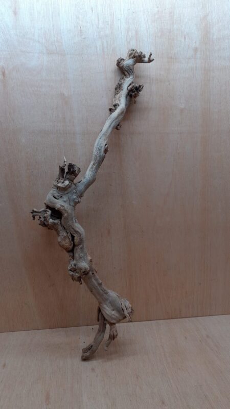 Sandblasted Grapevine - Large 16