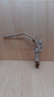 Sandblasted Grapevine - Medium 4