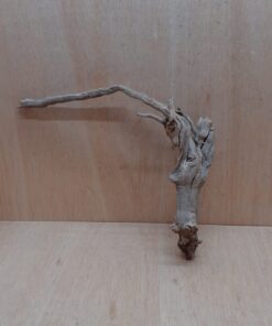 Sandblasted Grapevine - Medium 4