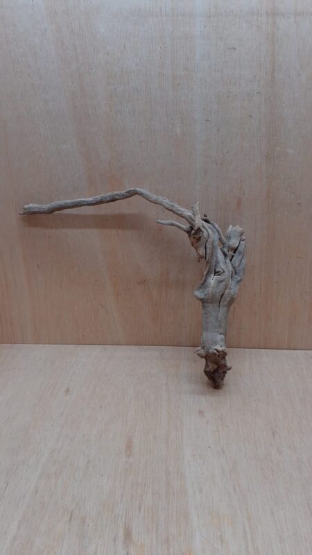 Sandblasted Grapevine - Medium 4