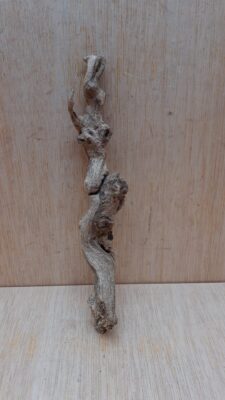 Sandblasted Grapevine - Small 2