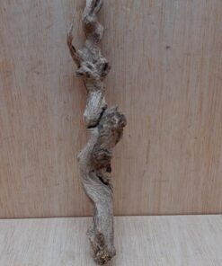 Sandblasted Grapevine - Small 2