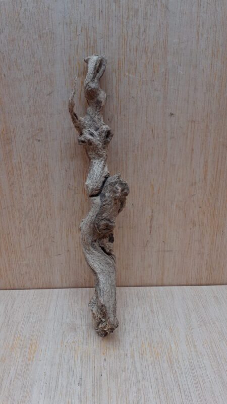 Sandblasted Grapevine - Small 2