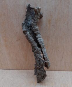 Small Cork Tube - Upto 40cm - 8