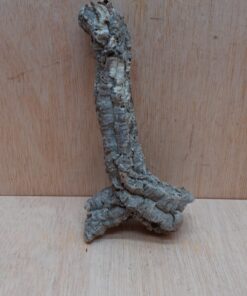 Small Cork Tube - Upto 40cm - 9