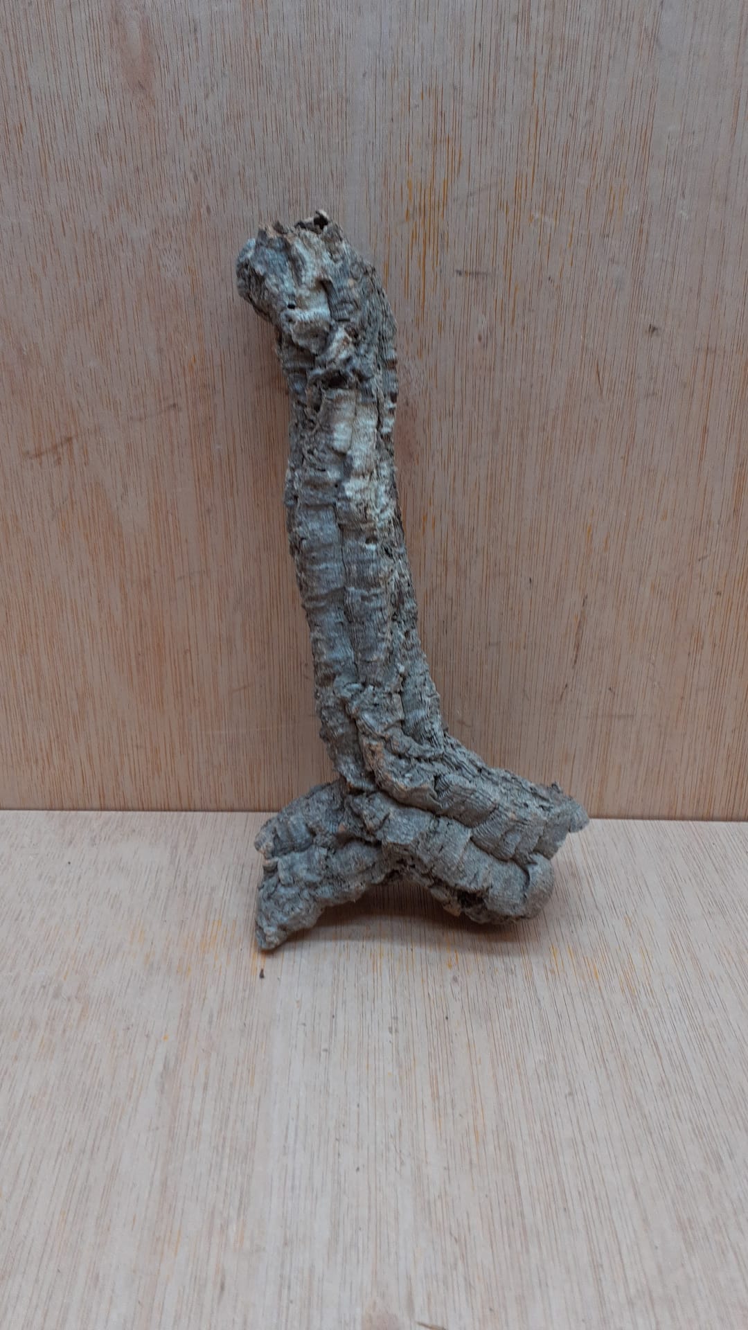 Small Cork Tube - Upto 40cm - 9