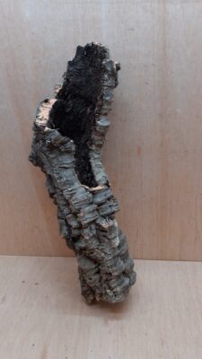 Small Cork Tube - 40-60cm - 12