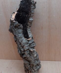 Small Cork Tube - 40-60cm - 12